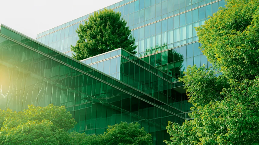 Zen Family Blog: Net Zero In a Nutshell