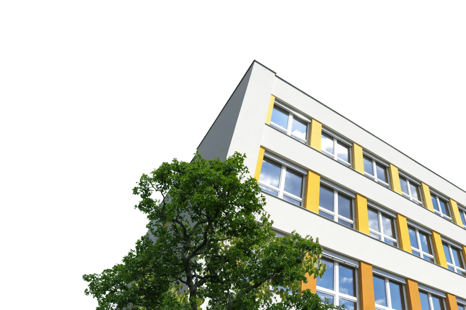 Meeting the DfE’s sustainability requirements: Where to start?