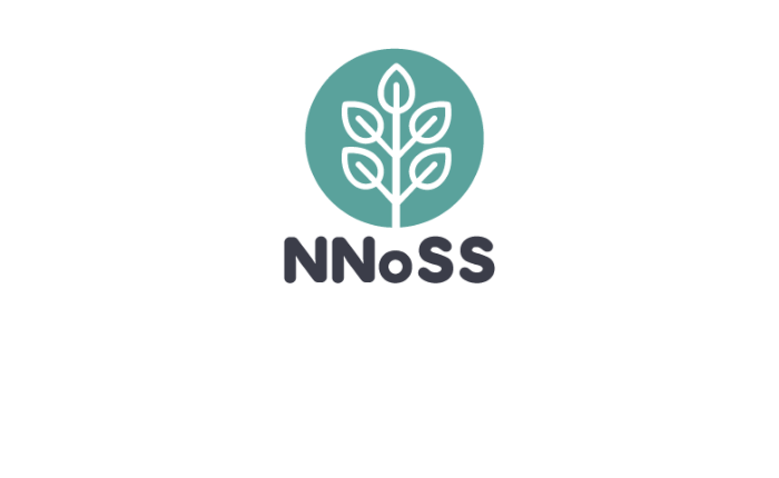 NNoSS Workshop Q&As