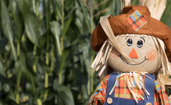 Competition: Zenergi’s harvest festival of scarecrows!