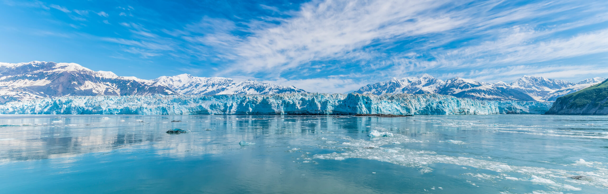 The evolving landscape of net zero