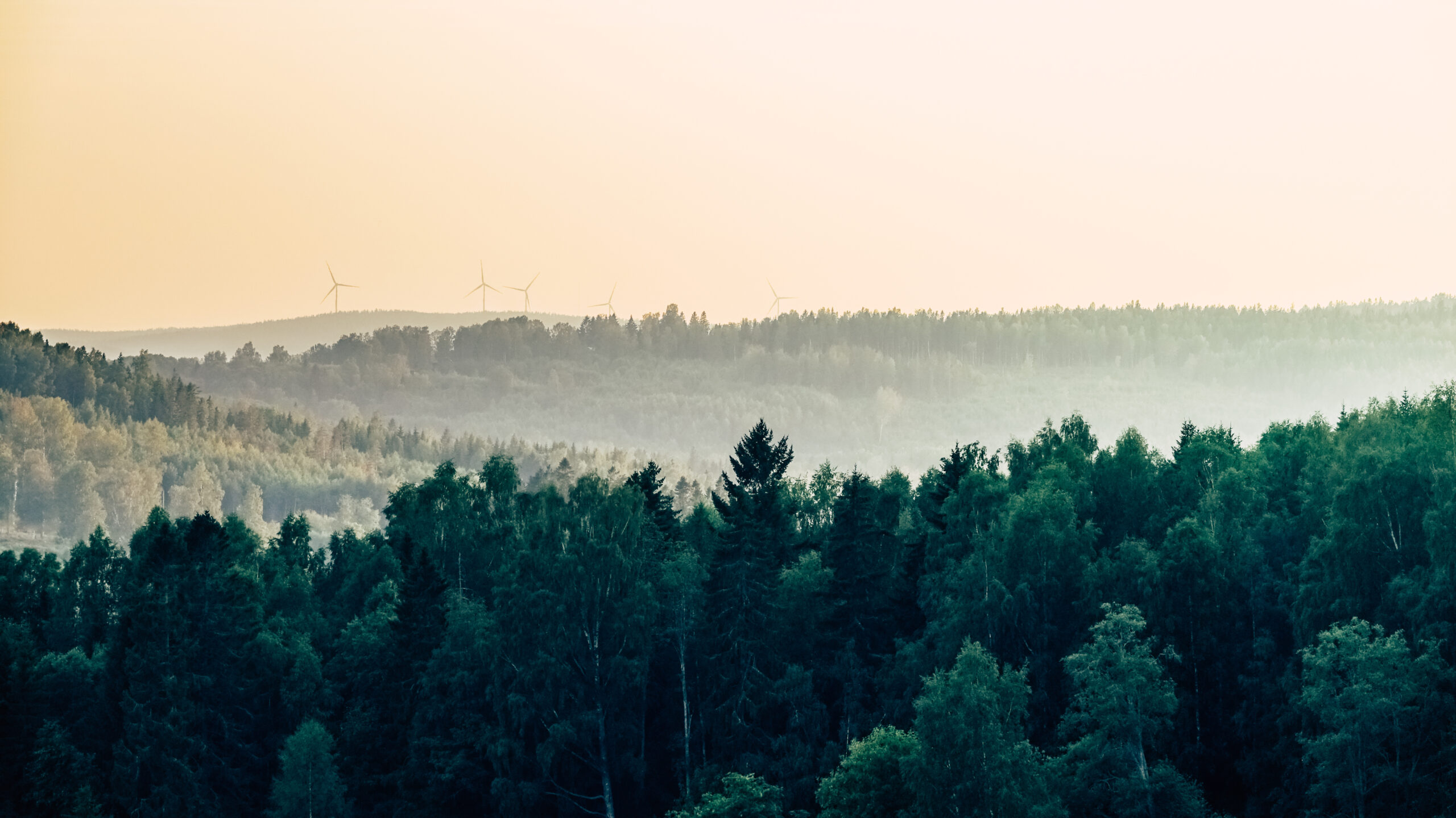 The simplicity behind net zero