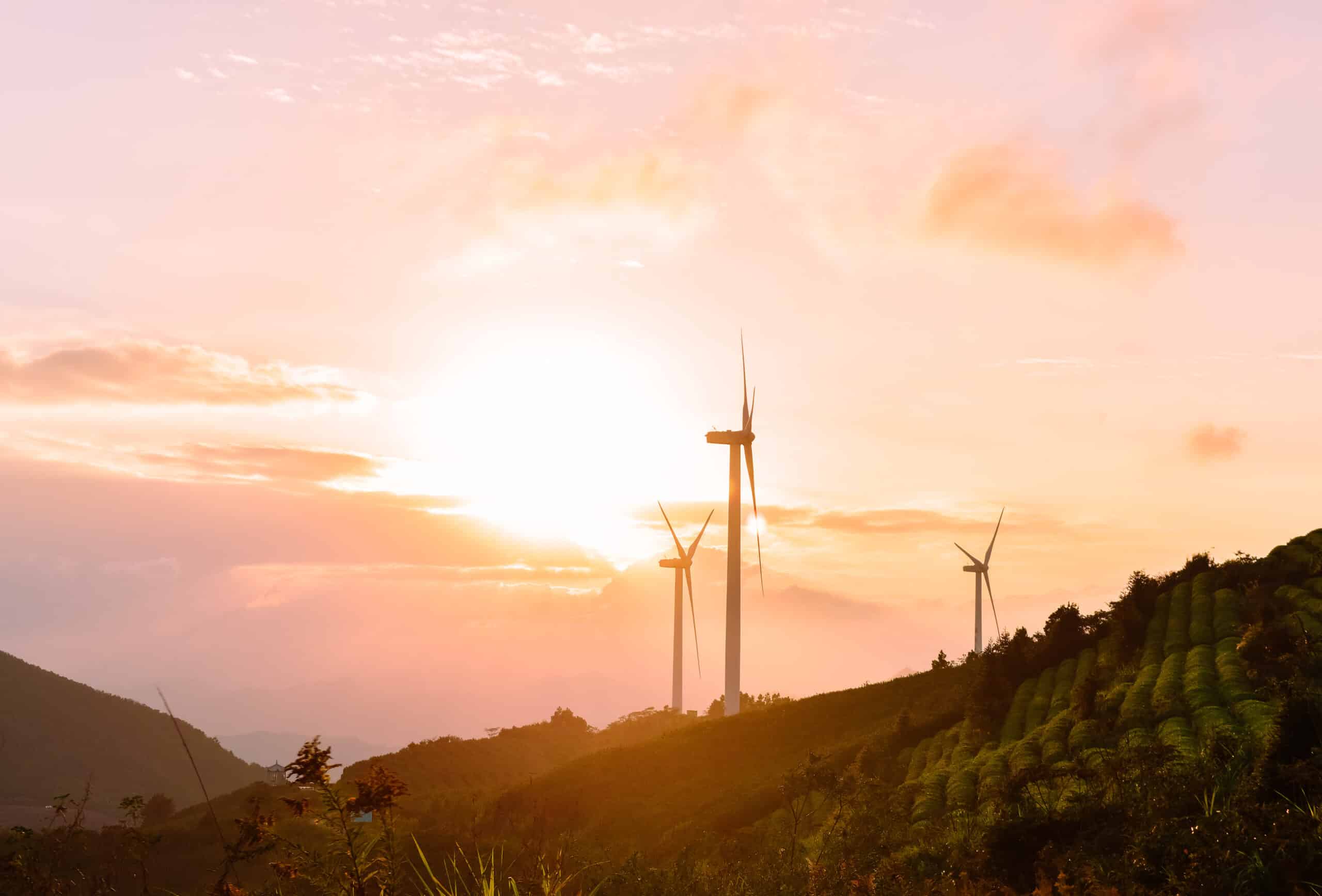 How does the Autumn Budget affect non-domestic energy bills?