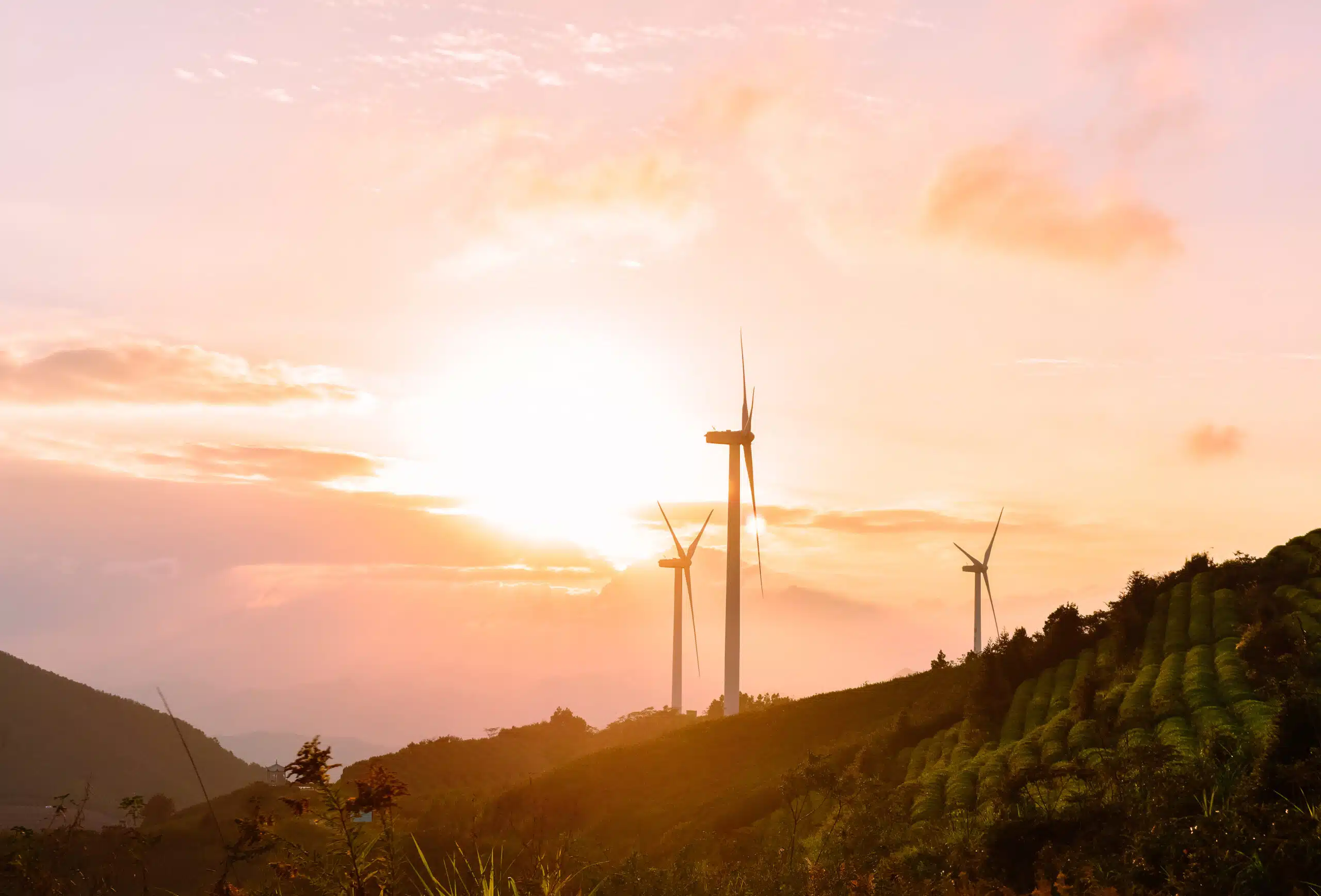 How does the Autumn Budget affect non-domestic energy bills?