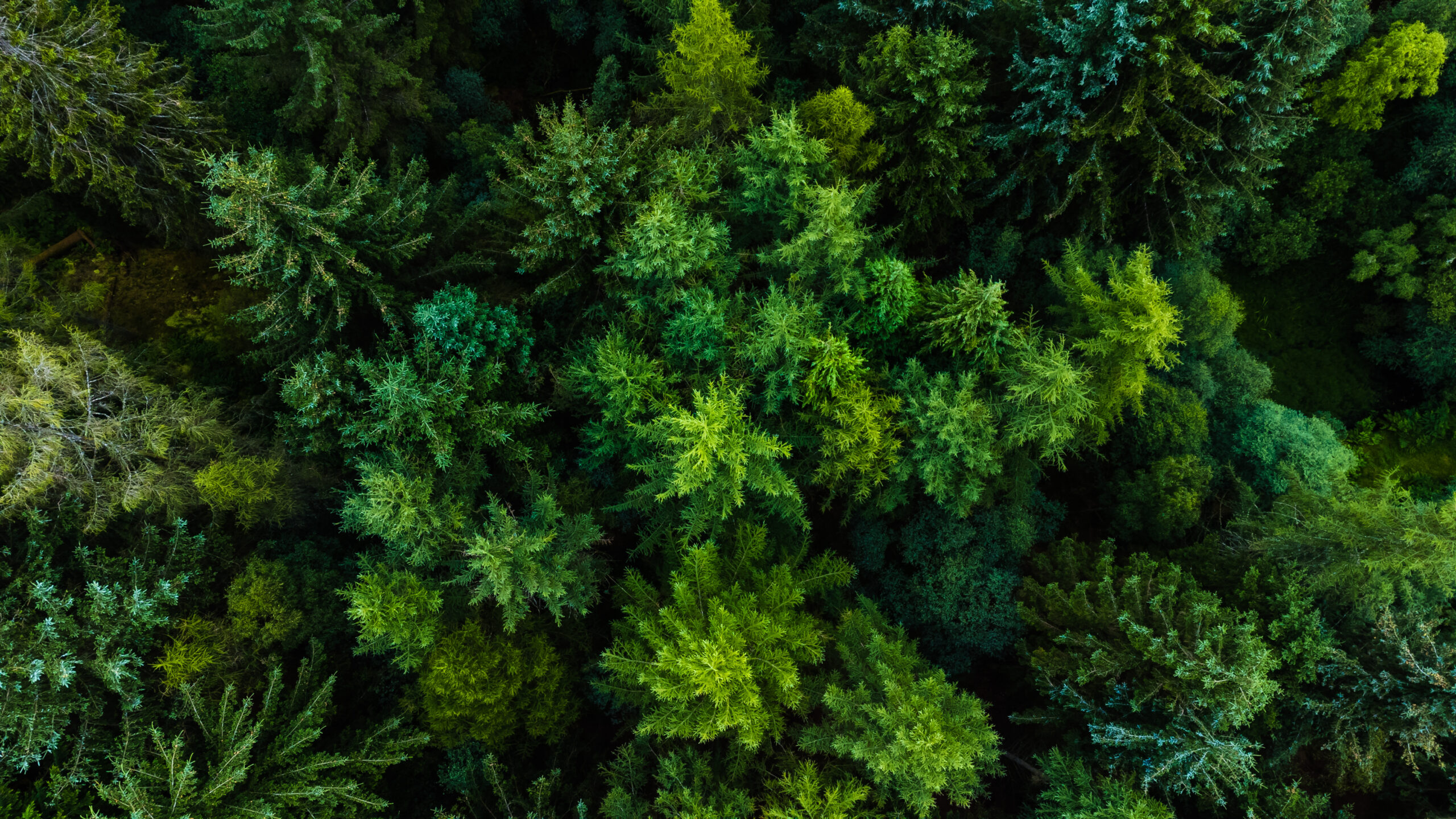 Net zero starts small: How simple measures can cut costs and boost sustainability