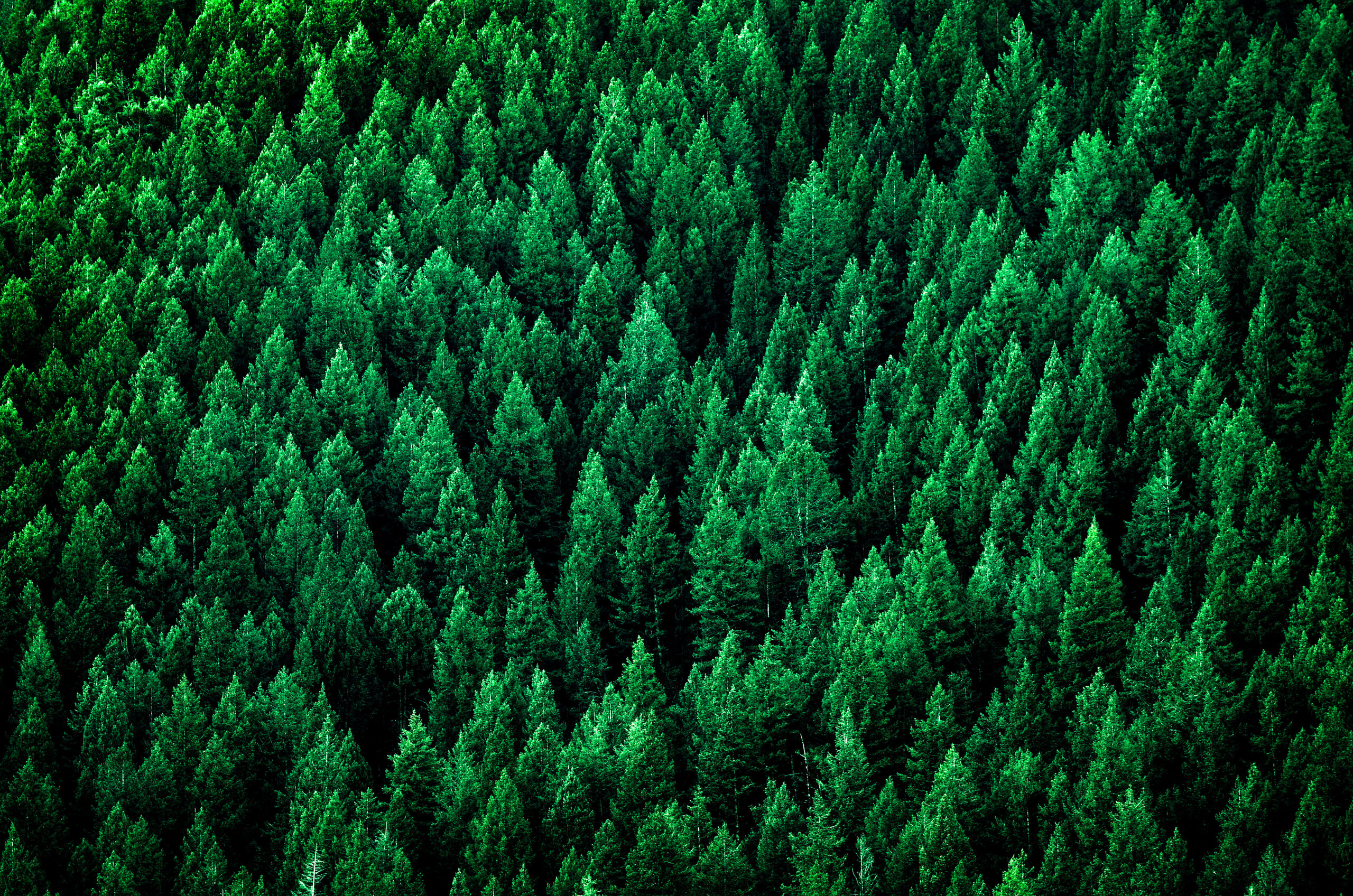 Show Your Stripes Day 2026: Using the power of visualisation to drive climate awareness and action
