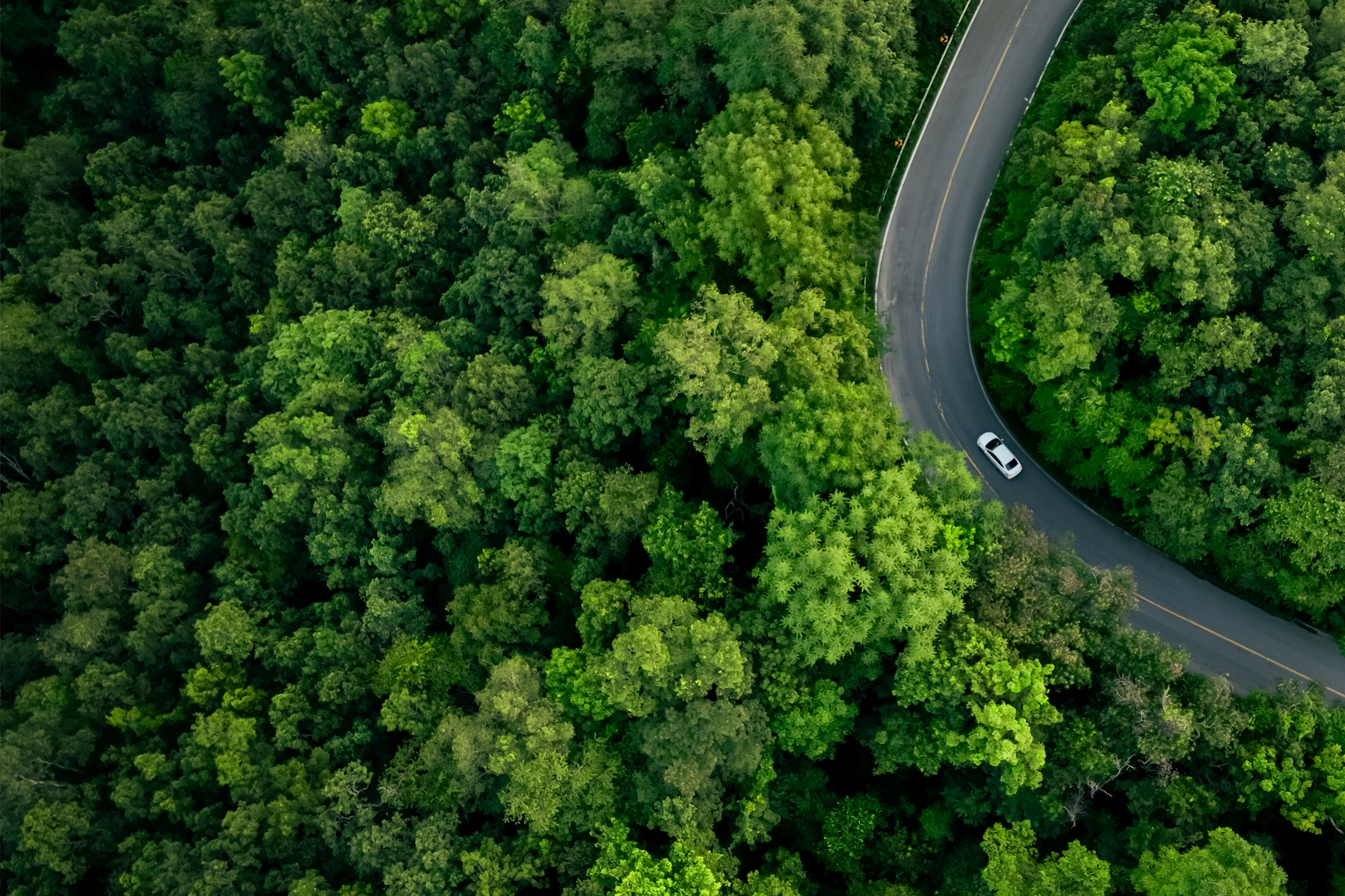 From the CFO’s desk: Charting your path to sustainability